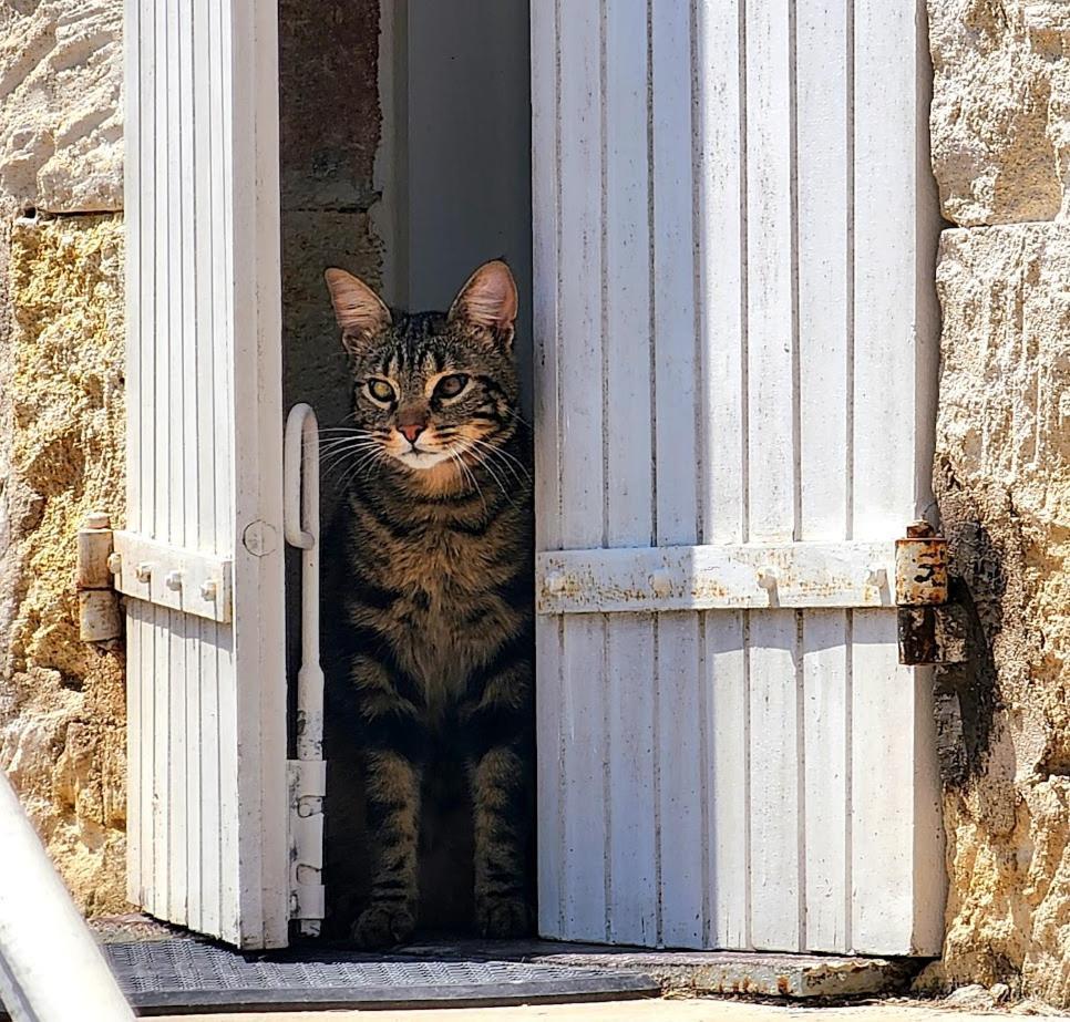 Gite Le Bonheur Hiersac Εξωτερικό φωτογραφία